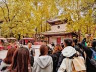 一群人走在树林里 AI 生成的内容可能不正确。